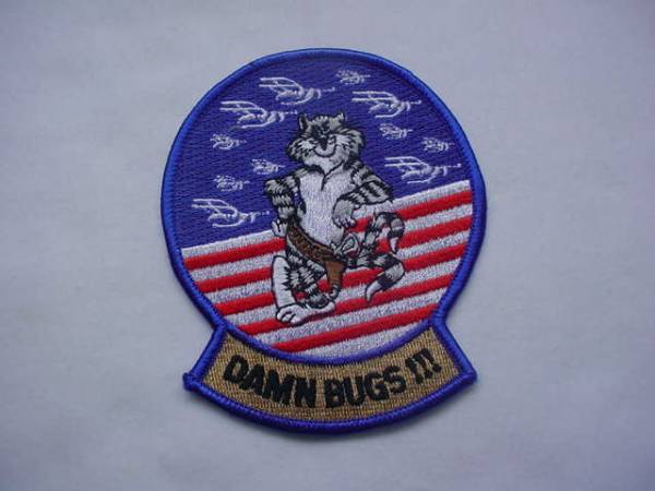 USN F-14 TOMCAT DAMN BUGS TRANSITION TO F/A-18 HORNET !!拍卖