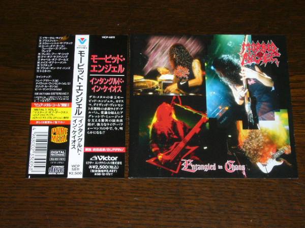 国内盤 帯付 モービッド・エンジェル/ENTANGLED IN CHAOS拍卖