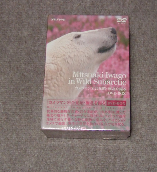 新品 カメラマン岩合光昭 極北を撮る DVD-BOX拍卖