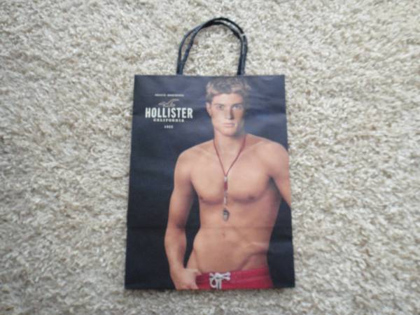 ☆美品☆HOLLISTERホリスター☆紙袋☆ショッパー☆拍卖