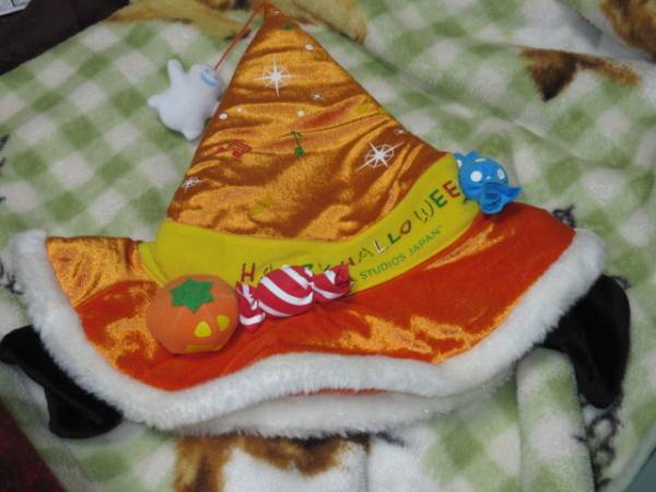 ★ハロウィン 帽子 ユニバーサルスタジオ ★355拍卖