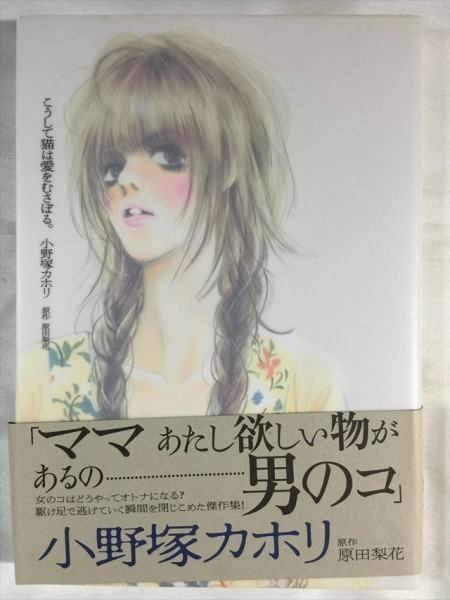 こうして猫は愛をむさぼる。 小野塚カホリ FEEL COMICS 即決あり SKU20160909-023拍卖