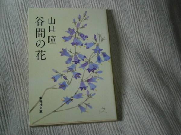 ★山口瞳『谷間の花』・集英社文庫・昭和55年・初版拍卖