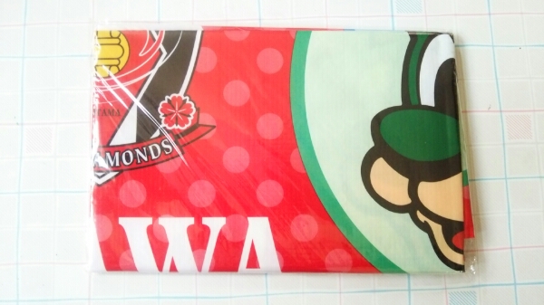 新品未開封、浦和レッズ、オリジナルレジャーシート拍卖