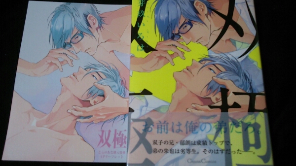 双極/とらのあな特典4Pリーフレット付き/芽玖いろは拍卖