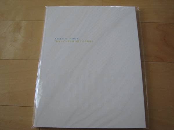 嵐!~Scene 君と僕の見ている風景~ パンフレット拍卖