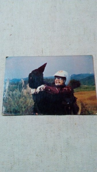 アンティーク 昭和 レトロ ワイルド7 カード 34番 拍卖