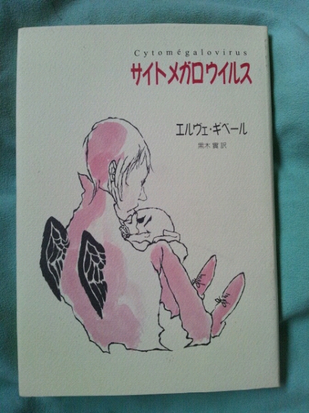 /4.29/ サイトメガロウイルス―入院日記 エルヴェ・ギベール 1510021F拍卖