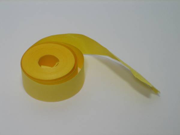 希少 AKB48劇場 2015年5月21日 RESET 公演 紙テープ 石田晴香拍卖