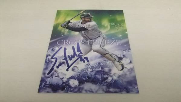 即決2016BBM 2nd書店限定プリント版サインカード 西武99メヒア拍卖
