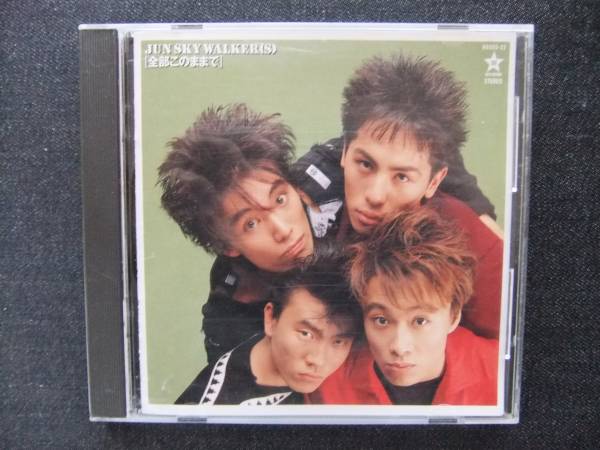 CDアルバム-2 ジュン・スカイ・ウォーカーズ 全部このままで拍卖
