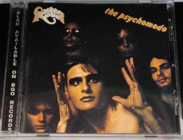 STEVE HARLEY & COCKNEY REBEL / THE PSYCHOMODO拍卖