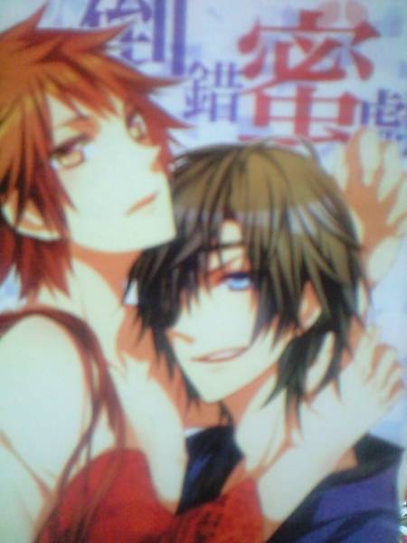 戦国BASARA同人誌■政幸長編小説■HALLUCINO「倒錯蜜戯」ダテサナ拍卖