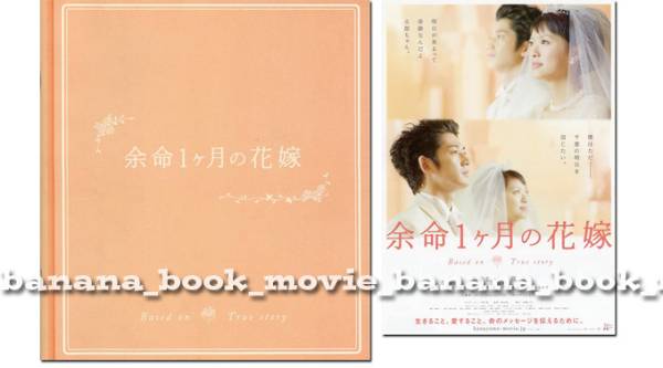 映画『余命1ヶ月の花嫁』プレス シート&チラシ■榮倉奈々/瑛太/安田美沙子/大杉漣/柄本明■ 非売品 パンフレット フライヤー パンフ拍卖