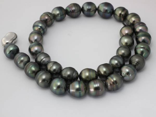 ★☆☆★ 黒蝶真珠 ネックレス (新品/送料無料)★☆☆★拍卖