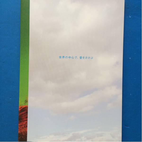 映画パンフ 世界の中心で、愛をさけぶ 大沢たかお 柴咲コウ拍卖