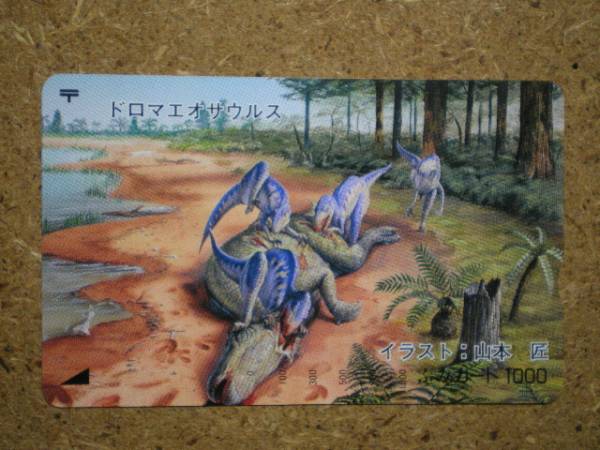 doub・恐竜 ドロマエオサウルス ふみカード 1000円 使用不可拍卖