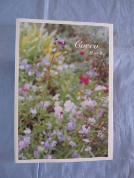 ★Cocco (コッコ) 想い事。 【沖縄・琉球・歌手】拍卖