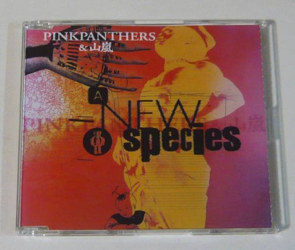 『CD』PINKPANTHERS & 山嵐/A NEW SPECIES拍卖