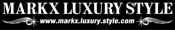 LUXURY STYLE マークX 50センチ拍卖