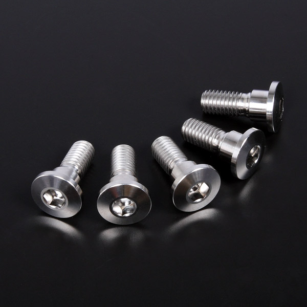 KAWASAKI カワサキ Versys1000 / SE ベルシス 用 チタン フロントブレーキディスクボルト拍卖