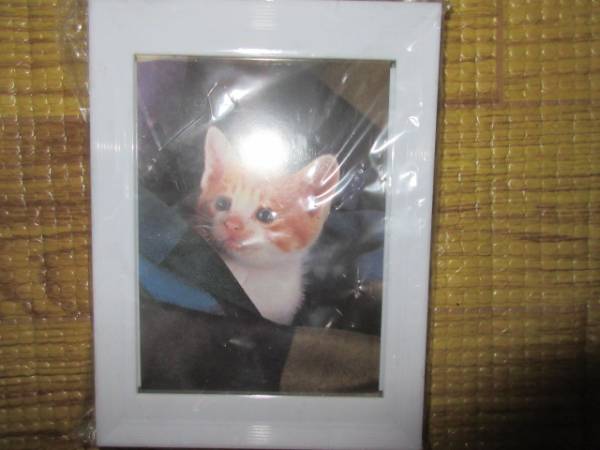 ■フジカラー プリントカラーフォトフレーム 新品■258拍卖