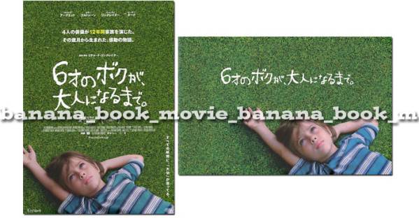映画『6才のボクが 大人になるまで』パンフ&チラシ■イーサン・ホーク 主演/リチャード・リンクレイター 監督■ パンフレット フライヤー拍卖