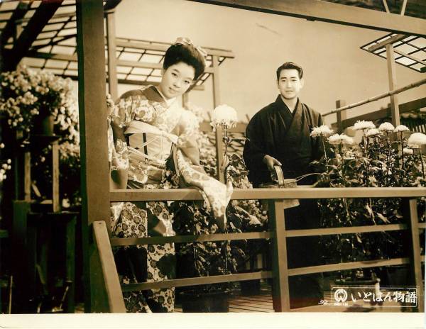 p21161京マチ子鶴田浩二『いとはん物語』スチル拍卖