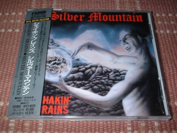 【貴重】シルヴァーマウンテン『シェイキンブレインズ』FEMS盤拍卖