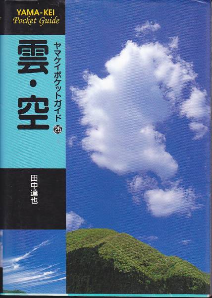 雲・空 (ヤマケイポケットガイド (25)) 田中 達也 2004・5刷拍卖