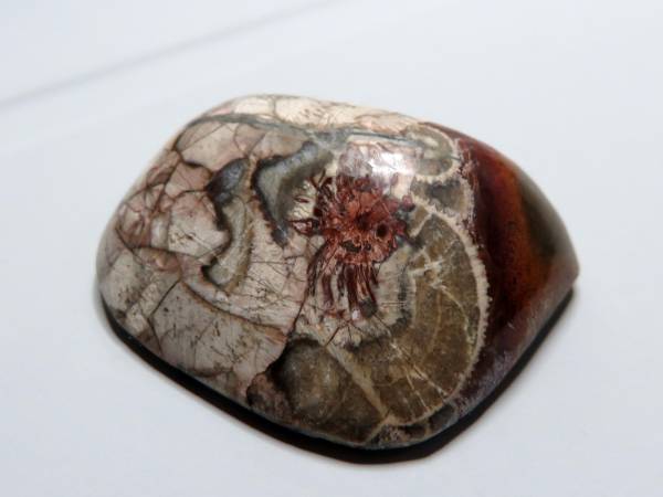 ★マッシュルーム・ジャスパー 50.00cts拍卖