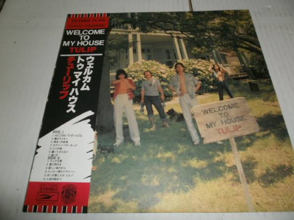 チューリップLP ウエルカムトウマイハウス拍卖