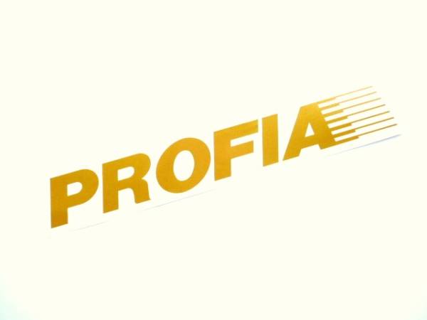 カッティング ステッカー プロフィア ボディーや窓 ウインドー トラック 車種別 拍卖