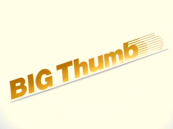 トラック用 カッティング ステッカー ビックサム ボディーや窓 ウインドー トラック 車種別 拍卖