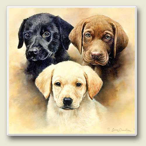 ●ラブラドールレトリーバー アブソーベントストーンコースター●拍卖