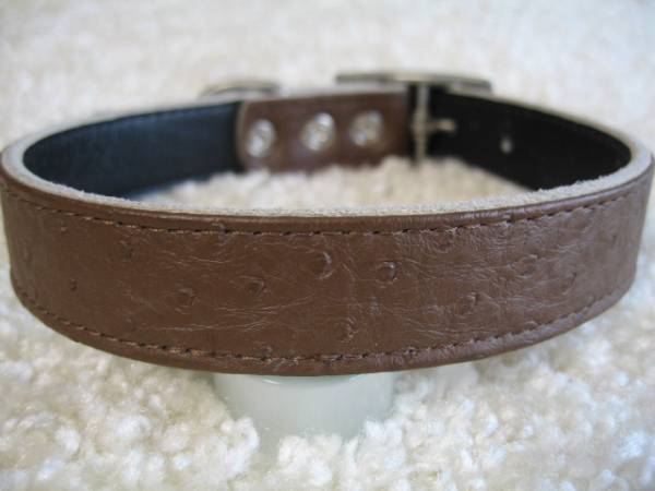 ★同梱お得★♯24-№50・リッチカラー・茶♪拍卖