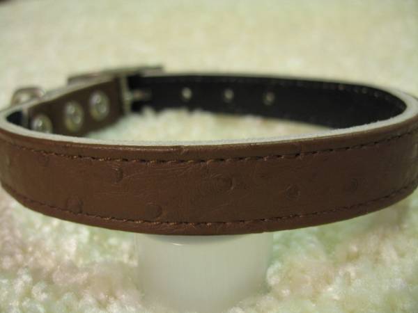 ★同梱お得★♯18-№53・リッチカラ―・茶♪拍卖