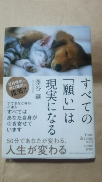 すべての「願い」は現実になる 澤谷 鑛:著 送料無料拍卖