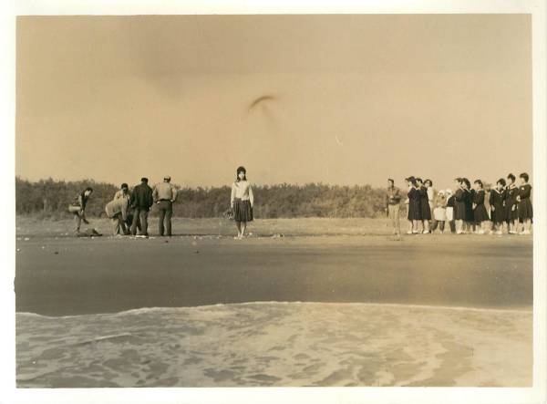 p21019本間千代子西郷輝彦太田博之『あの雲に歌おう』スナプ拍卖