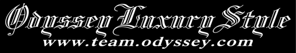 Team Odyssey Luxury Style 90センチ拍卖