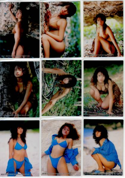 坂井優美 PPJ コンプリートセット302種 パラレルカード含む拍卖