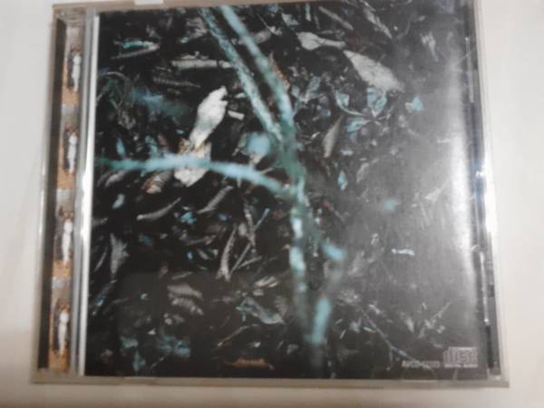 trf WORLD GROOVE 送料無料拍卖