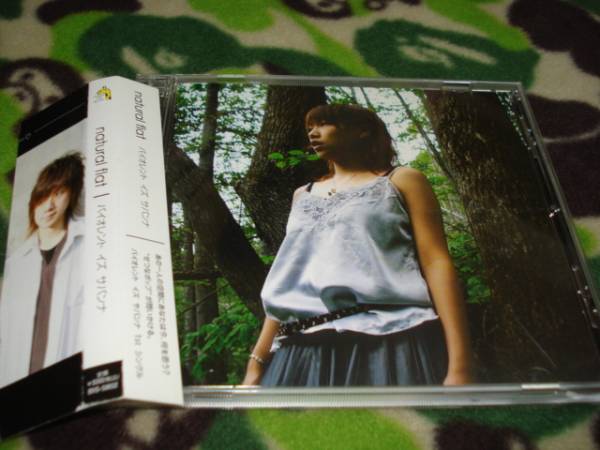 中古 natural flat Violent is Savanna(バイオレント拍卖