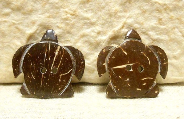 【ココナツボタン】海ガメ(大)拍卖