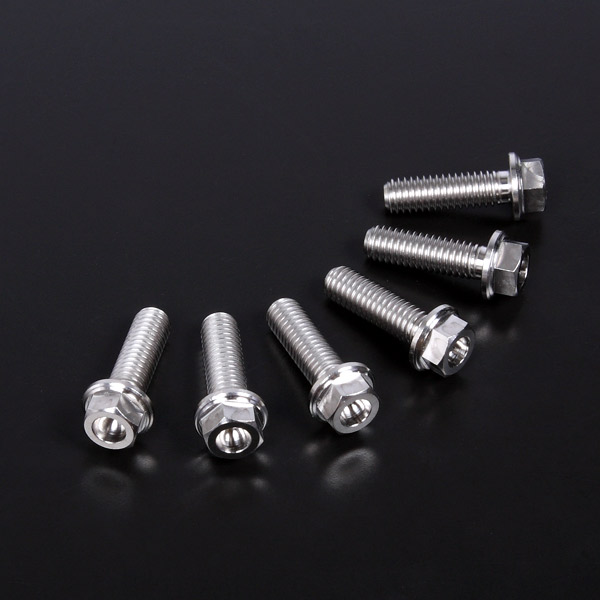 YAMAHA ヤマハ WR250R チタン フロント ブレーキディスクボルト拍卖