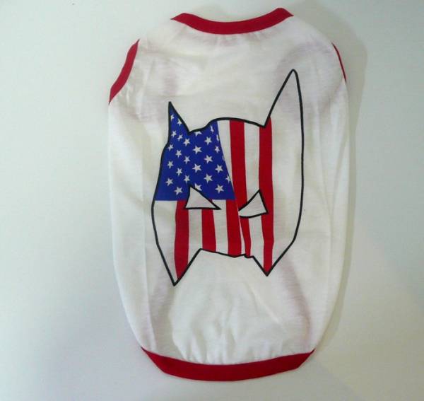 6号★送料無料・ネコポス便★(L)Tシャツ 星条旗仮面白拍卖