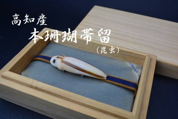 天然本珊瑚◆昆虫彫刻珊瑚帯留⑦共箱 サンゴルース拍卖