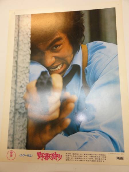 98668藤岡弘渚まゆみ中村まり子泉芙美子『野獣狩り』ロビカド拍卖