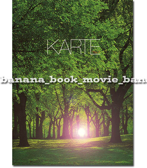 KARTE カルテ パンフ■西村雅彦/岸谷五朗/寺脇康文■舞台 パンフレット拍卖