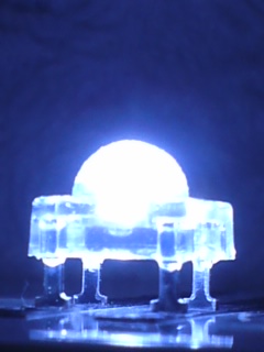 FLUX LED ホワイト 1000個 送料無料拍卖